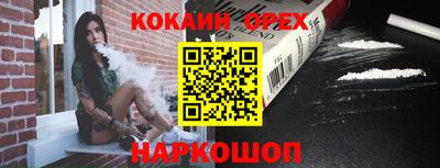 шишки Кингисепп